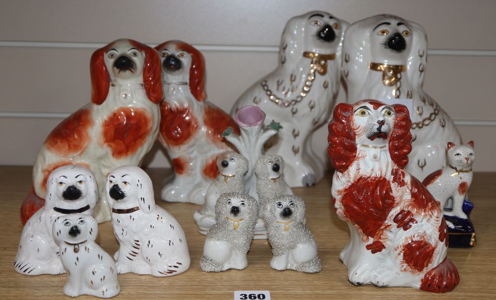 A collection of eleven Staffordshire dogs and a cat